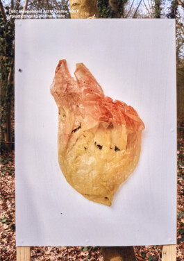 Plastic-Bags-Cover_957-Magazin-01 Wolfram Hahn